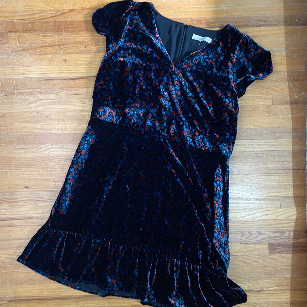 LOFT Velvet red and blue flower dress